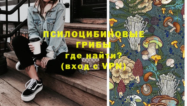 хмурый Горняк