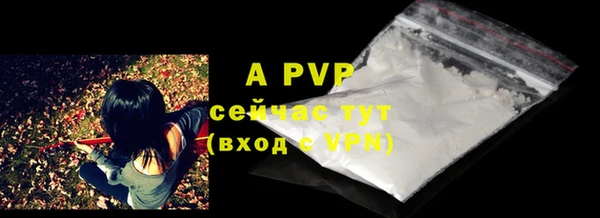 хмурый Горняк