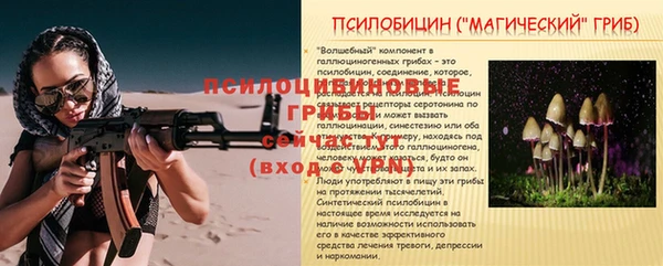 хмурый Горняк