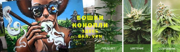 хмурый Горняк