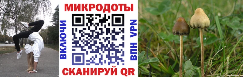 Псилоцибиновые грибы мицелий  Купить закладки  Печоры 
